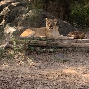 Meet your Posher, Clarissa